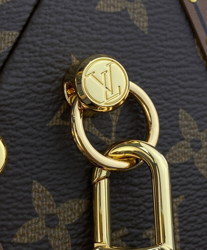 Louis Vuitton Camera Box M10079 Brown